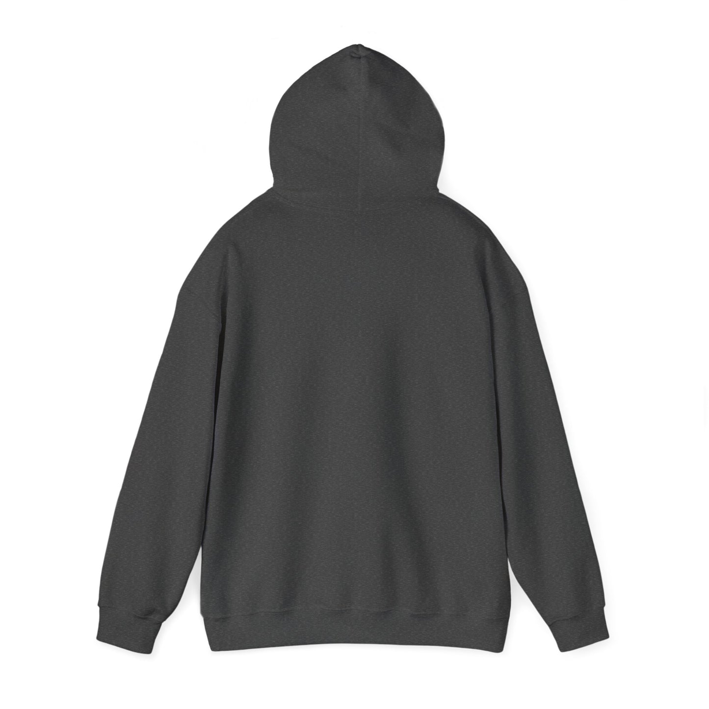 HIKE IT. Hooded Sweatshirt