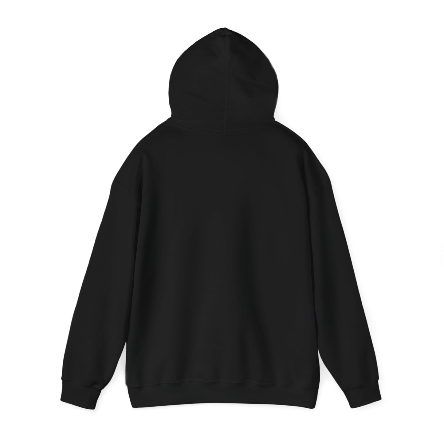 HIKE IT. Hooded Sweatshirt