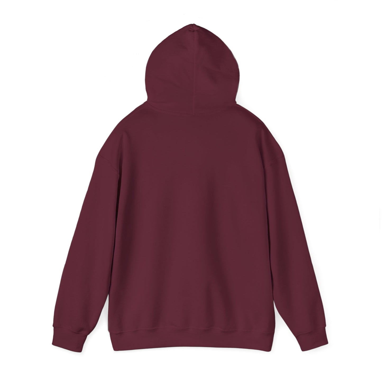 HIKE IT. Hooded Sweatshirt